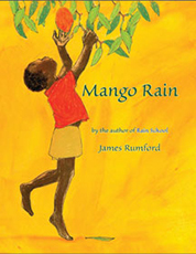 Mango Rain Cover