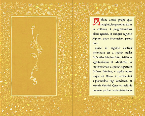 Opening page